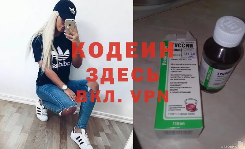 цены наркотик  Нижнеудинск  гидра вход  Codein Purple Drank 