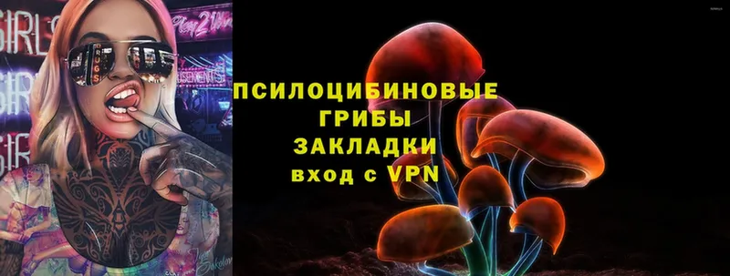 где купить наркотик  нарко площадка формула  Галлюциногенные грибы Magic Shrooms  Нижнеудинск 